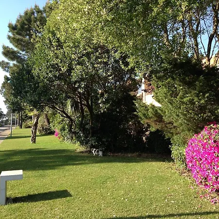 House 38 In Quinta Da Barca Esposende